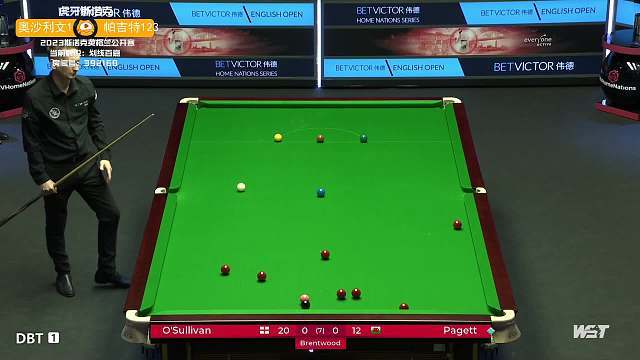 上的高度自 上的高度自